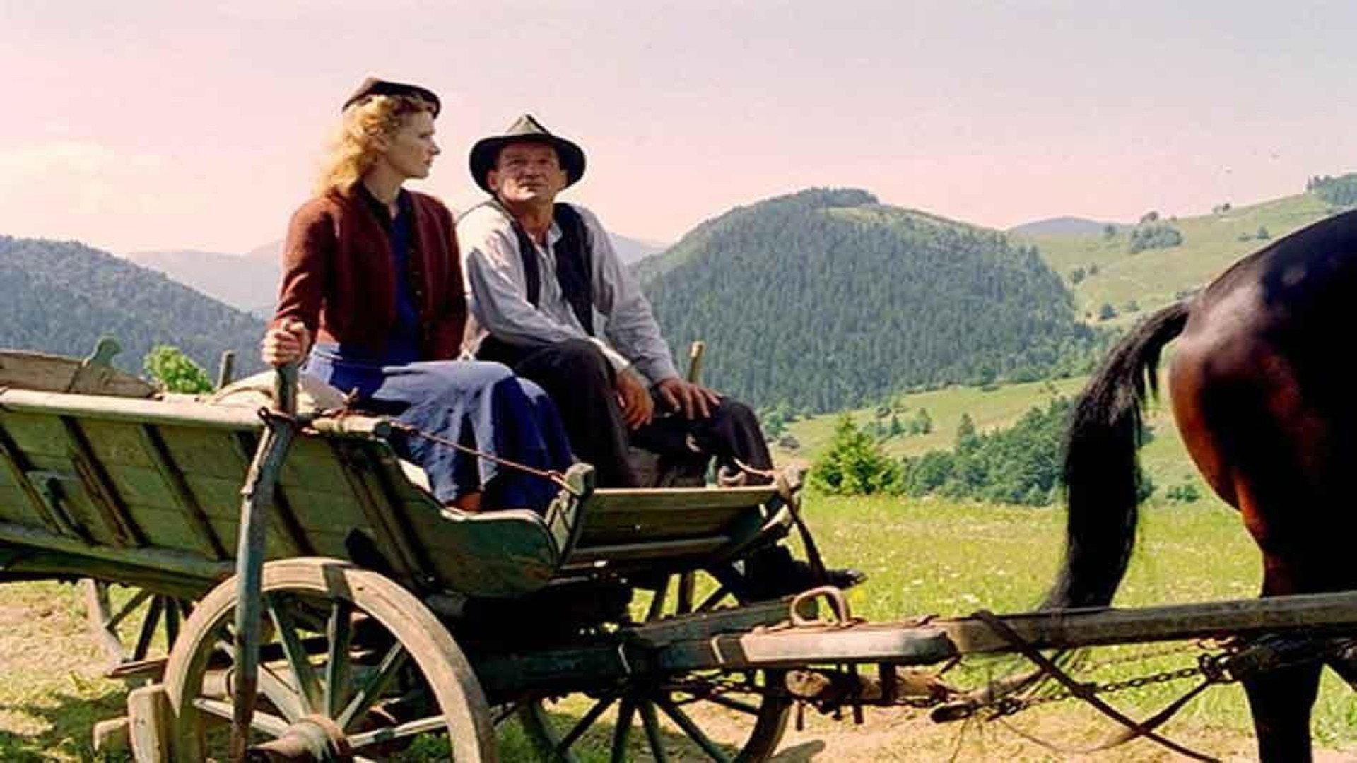 Zelary 2003 movie scene