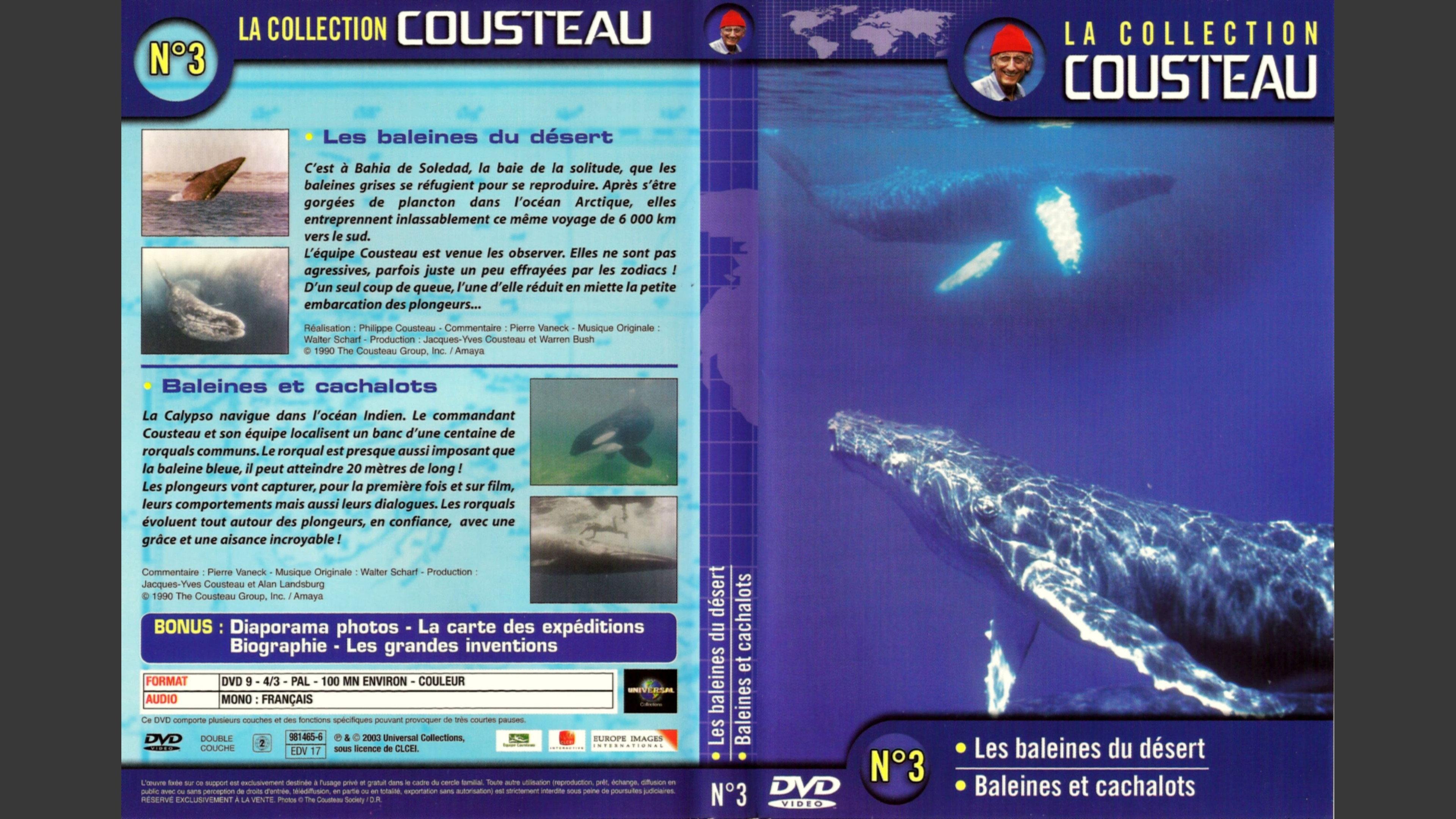 The Cousteau Collection N°3-1 | Desert Whales 1969 movie scene