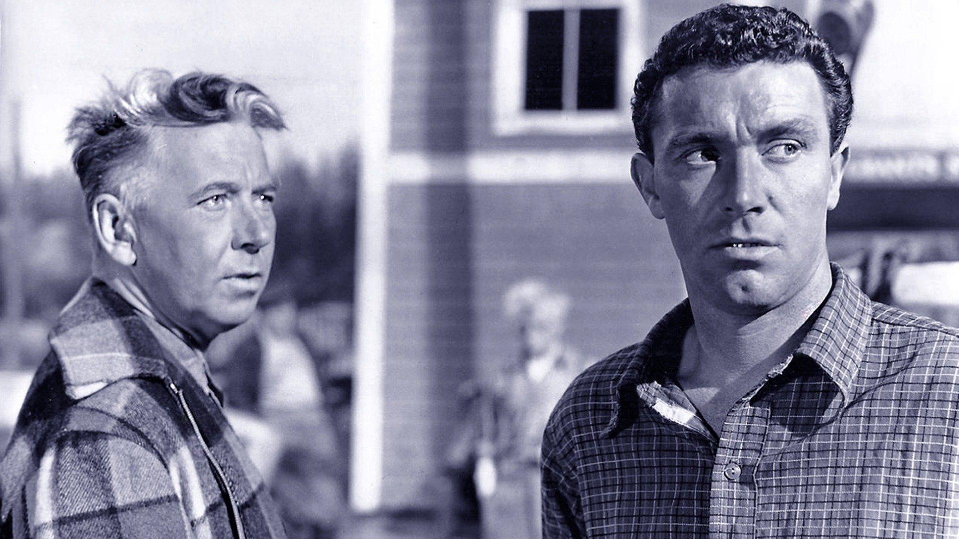 High Tide at Noon 1957 movie scene