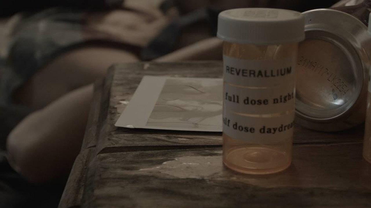 Reverallium 2017 movie scene