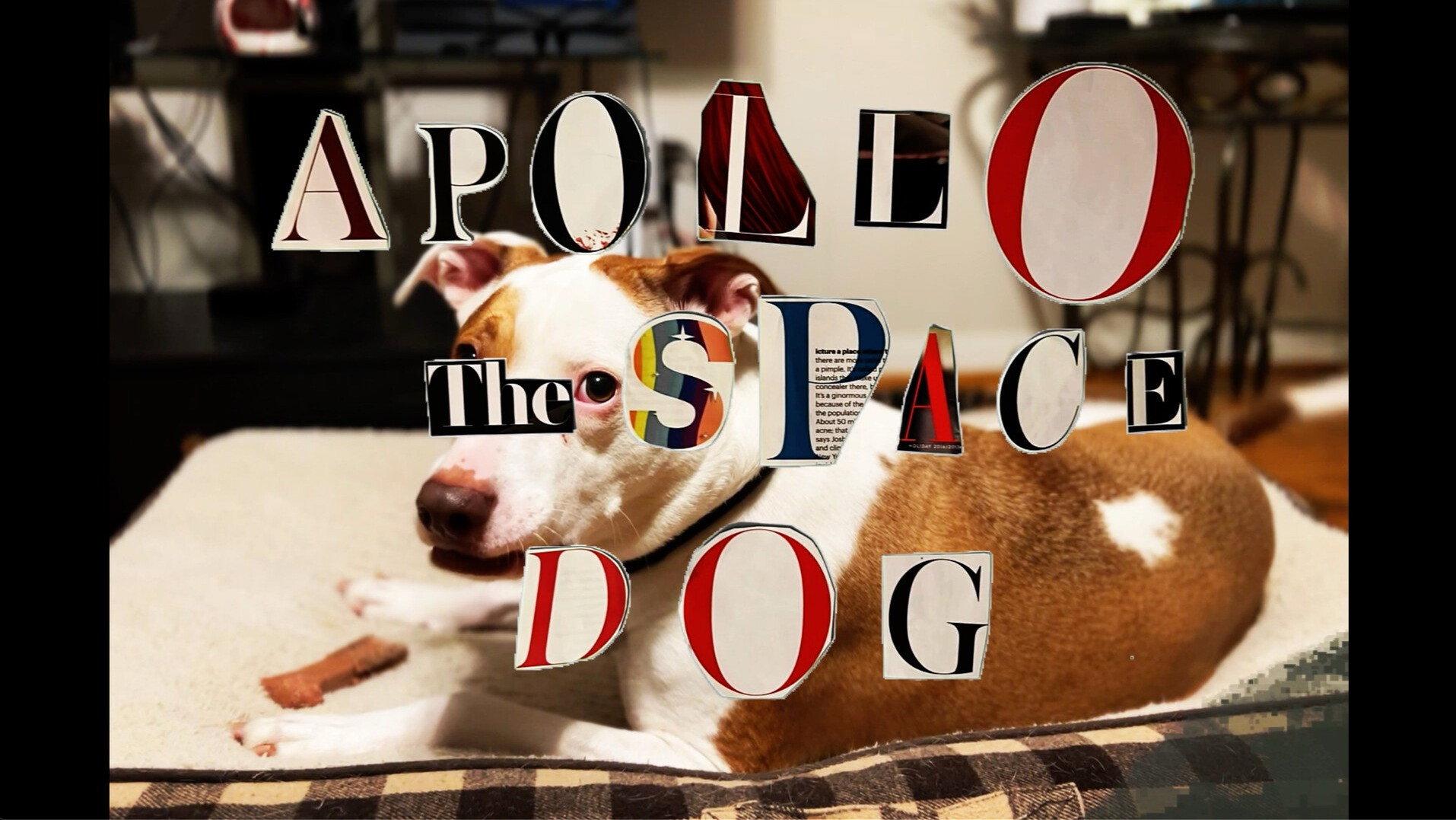 Apollo: The Space Dog 2024 movie scene