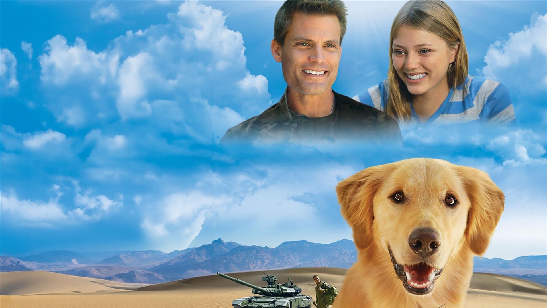 Army Dog 2016 movie scene