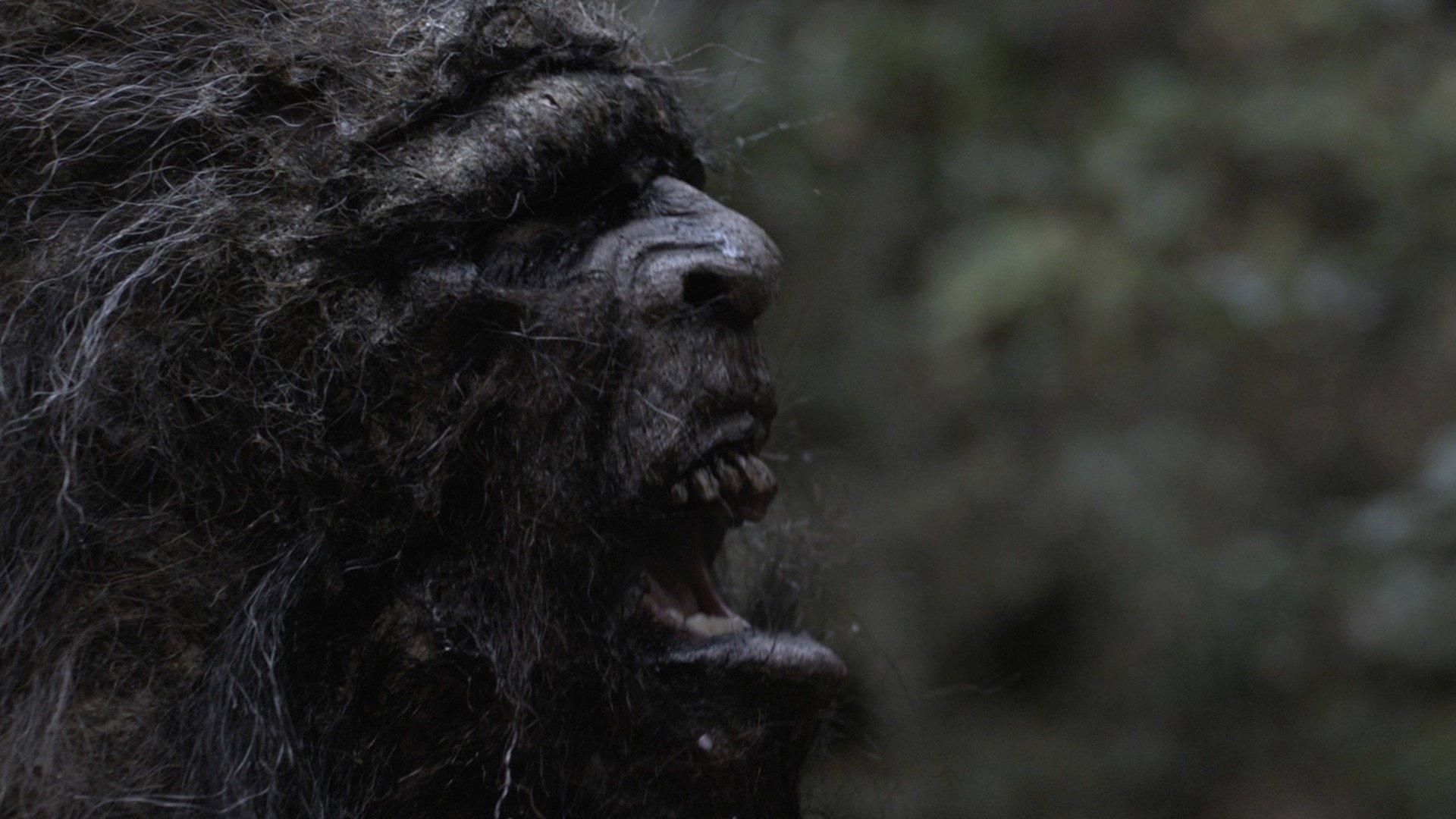 Stomping Ground 2016 movie scene