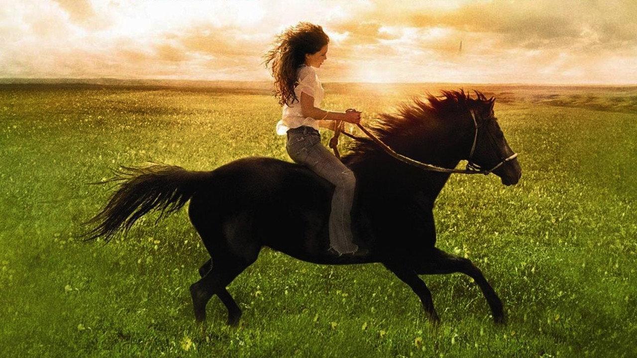 Flicka 2006 movie scene