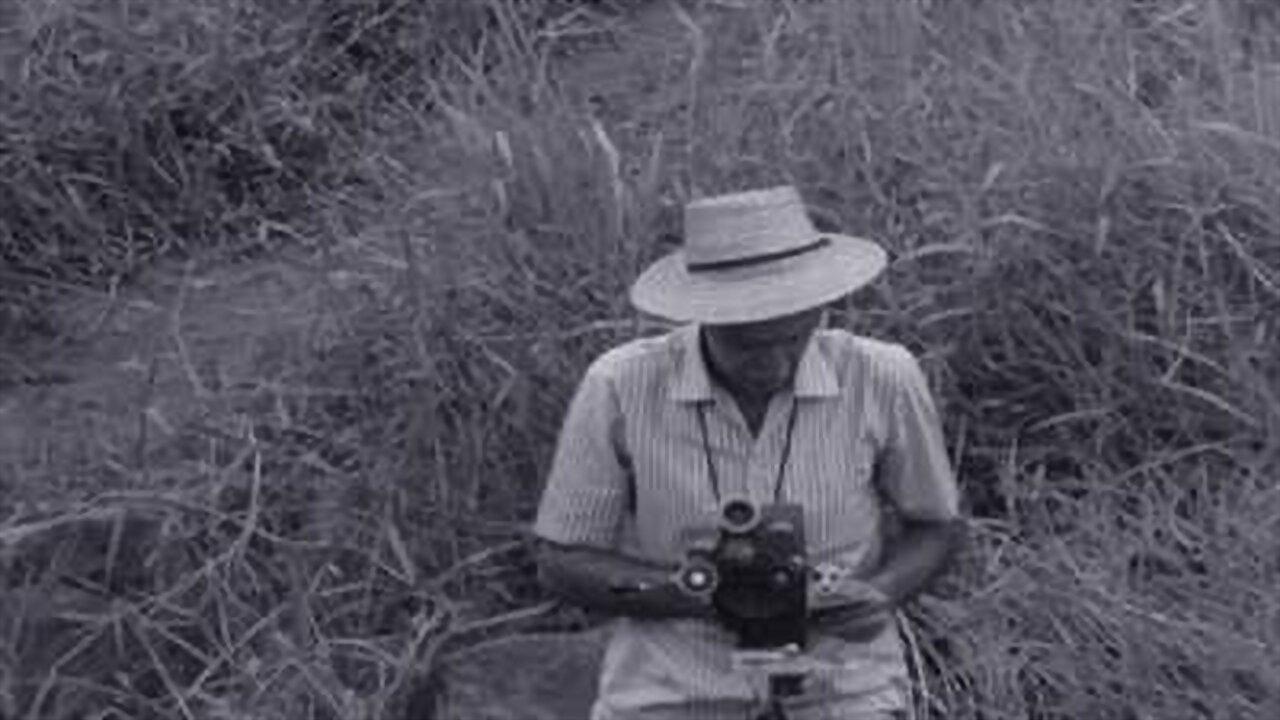 Humberto Mauro 1970 movie scene