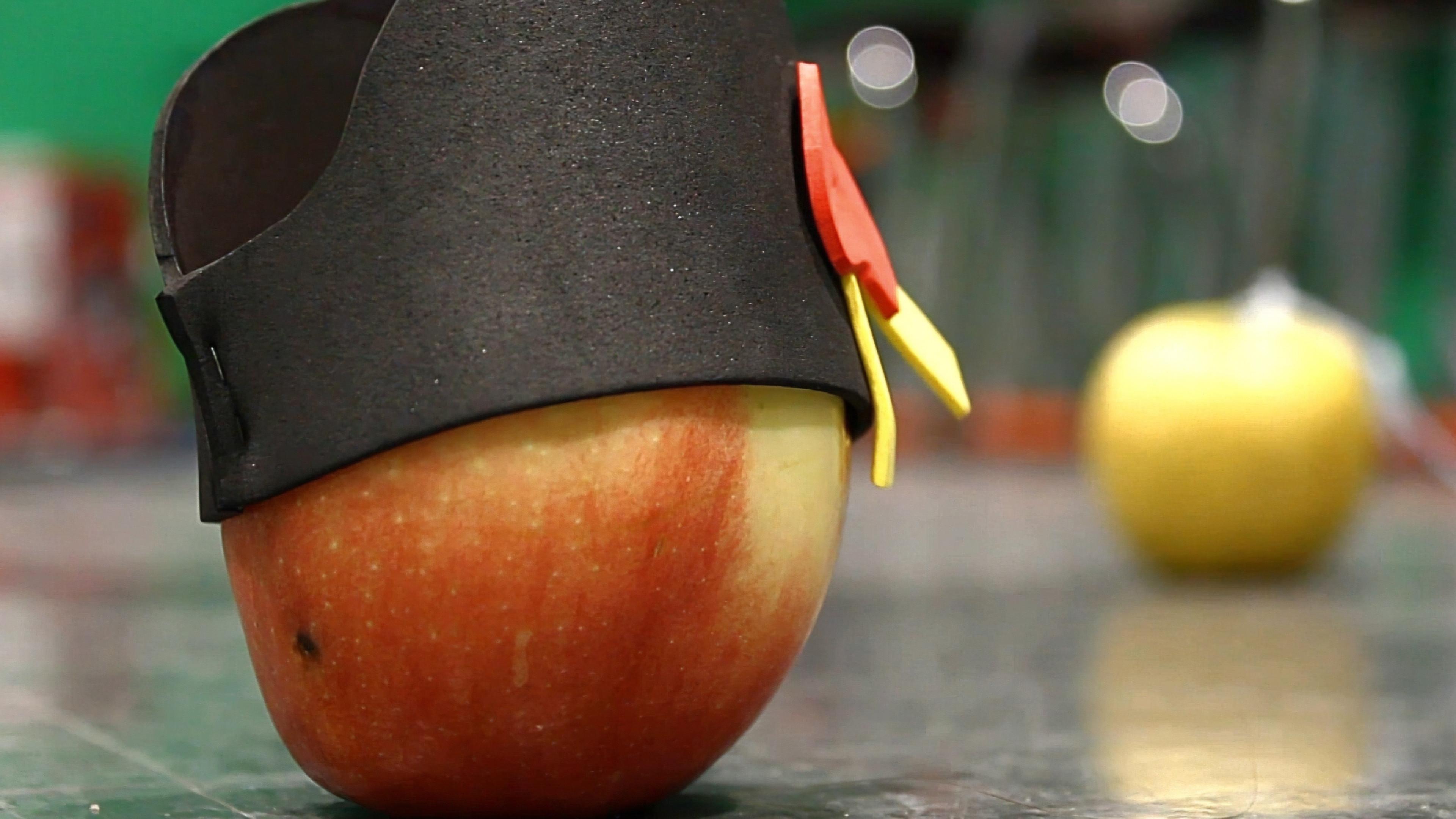 Bad Apple 2024 movie scene