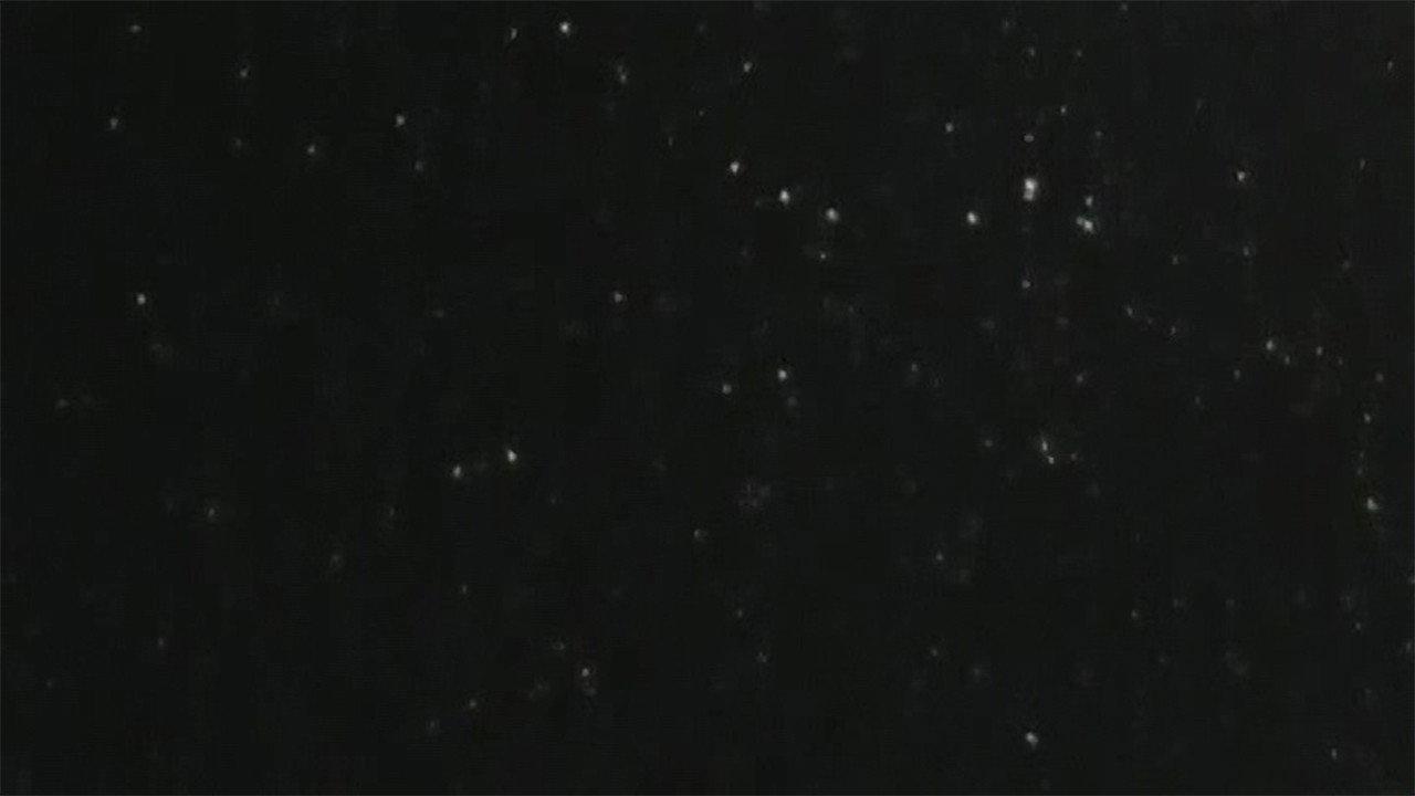 snow, finally 2024 movie scene