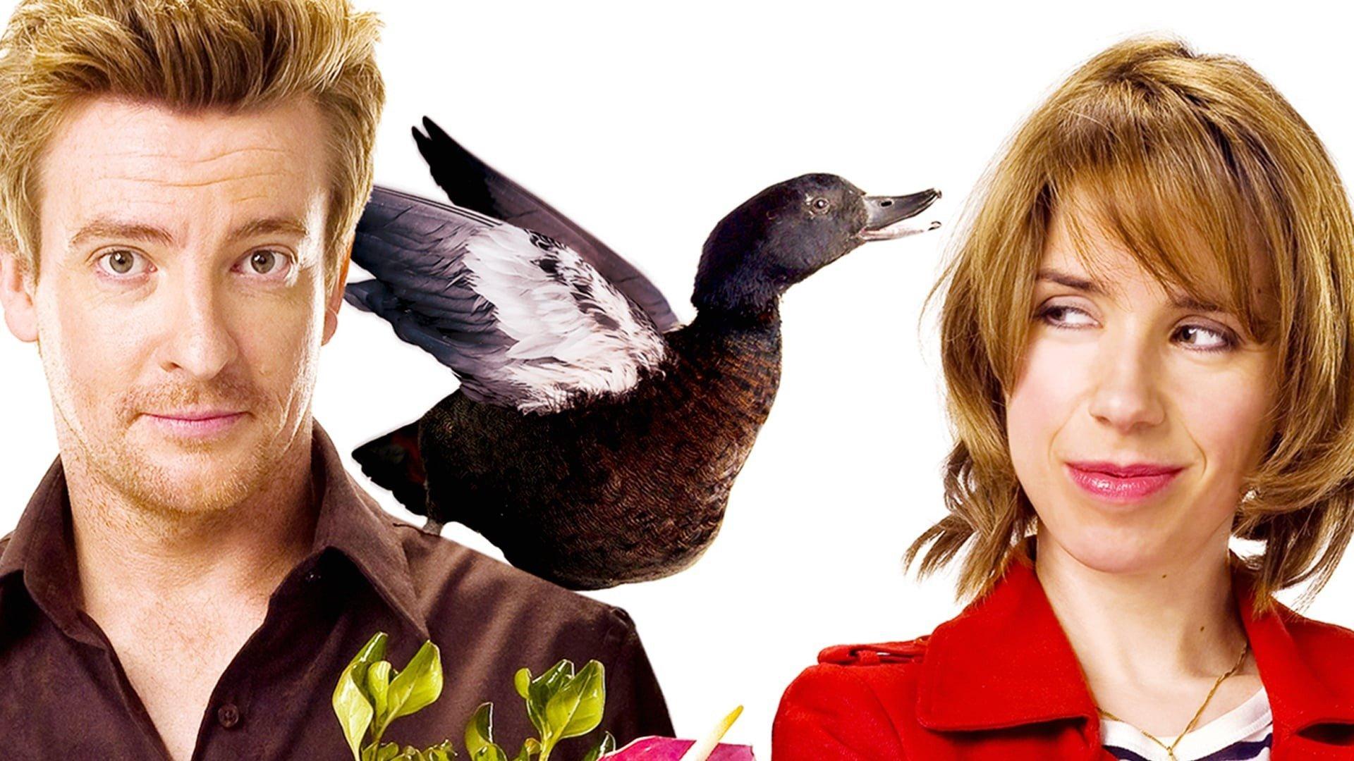 Love Birds 2011 movie scene