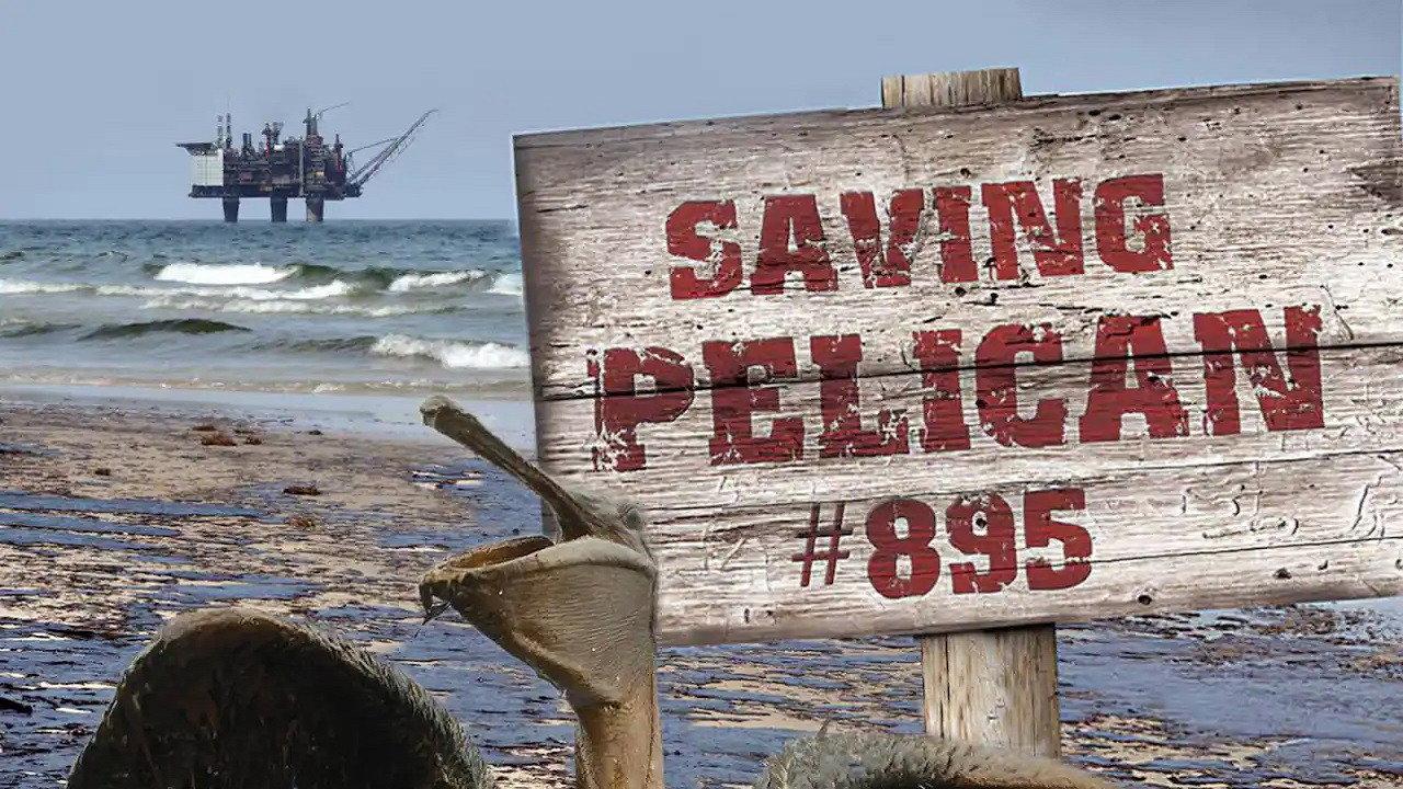 Saving Pelican 895 2011 movie scene
