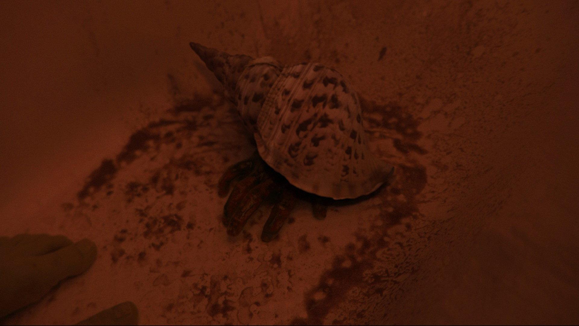 Whispers of the Waves 2025 movie scene