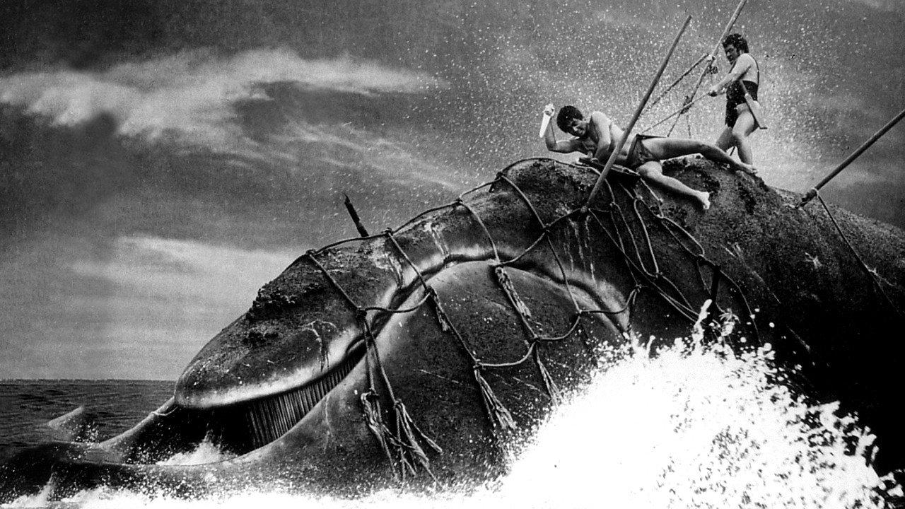 The Whale God 1962 movie scene