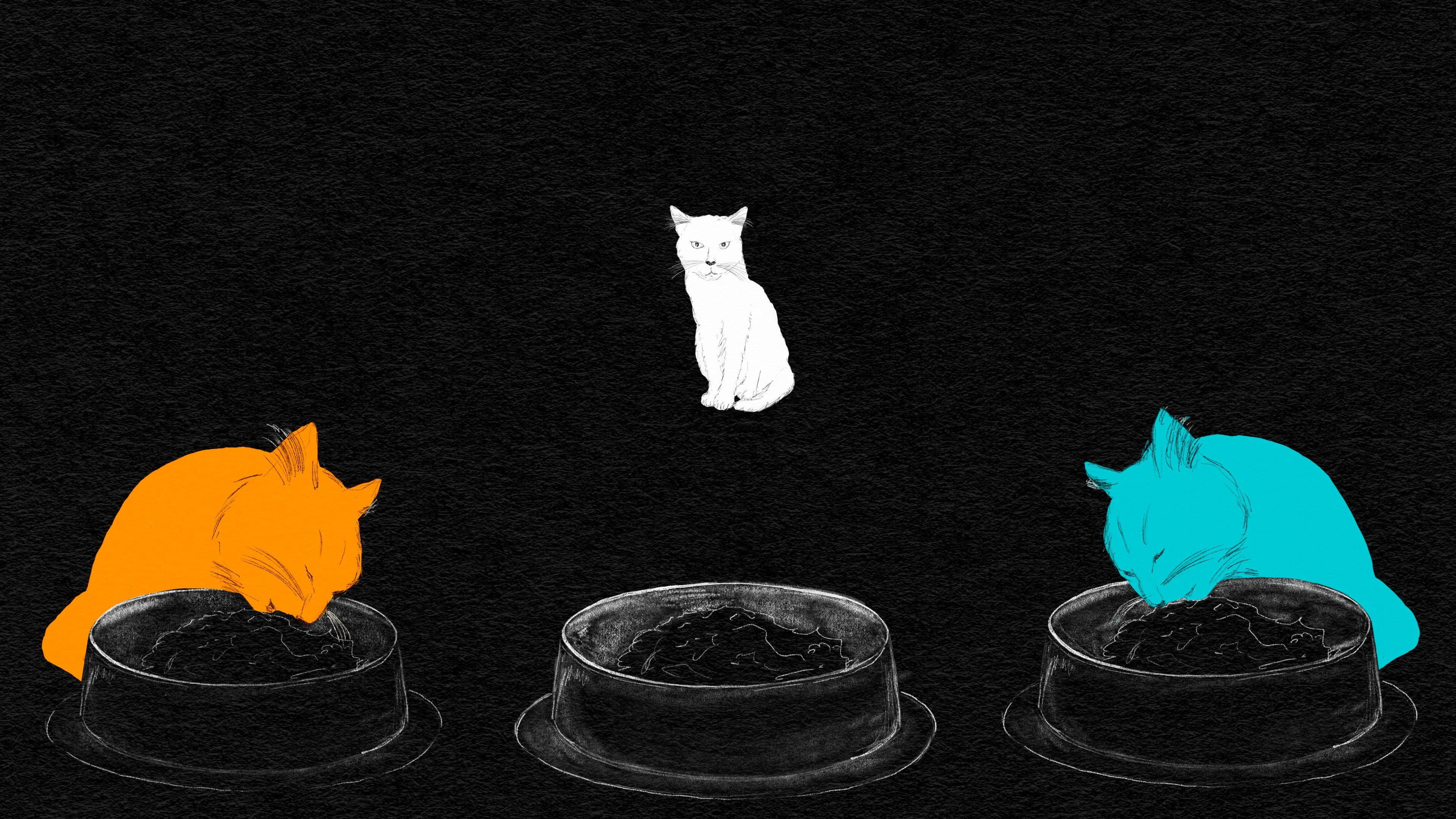 Armer weisser Kater 2026 movie scene
