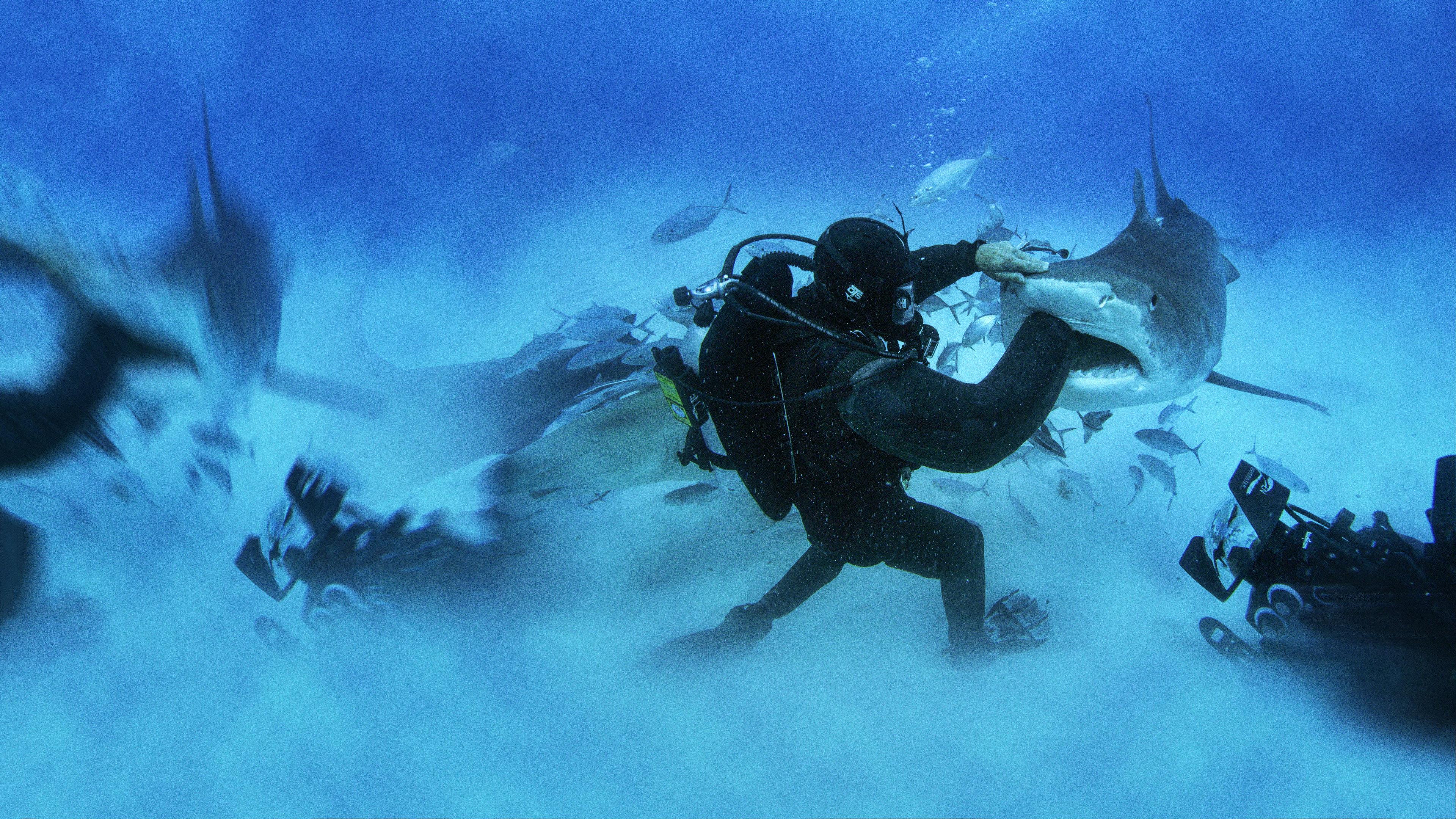 Man vs. Shark 2019 movie scene