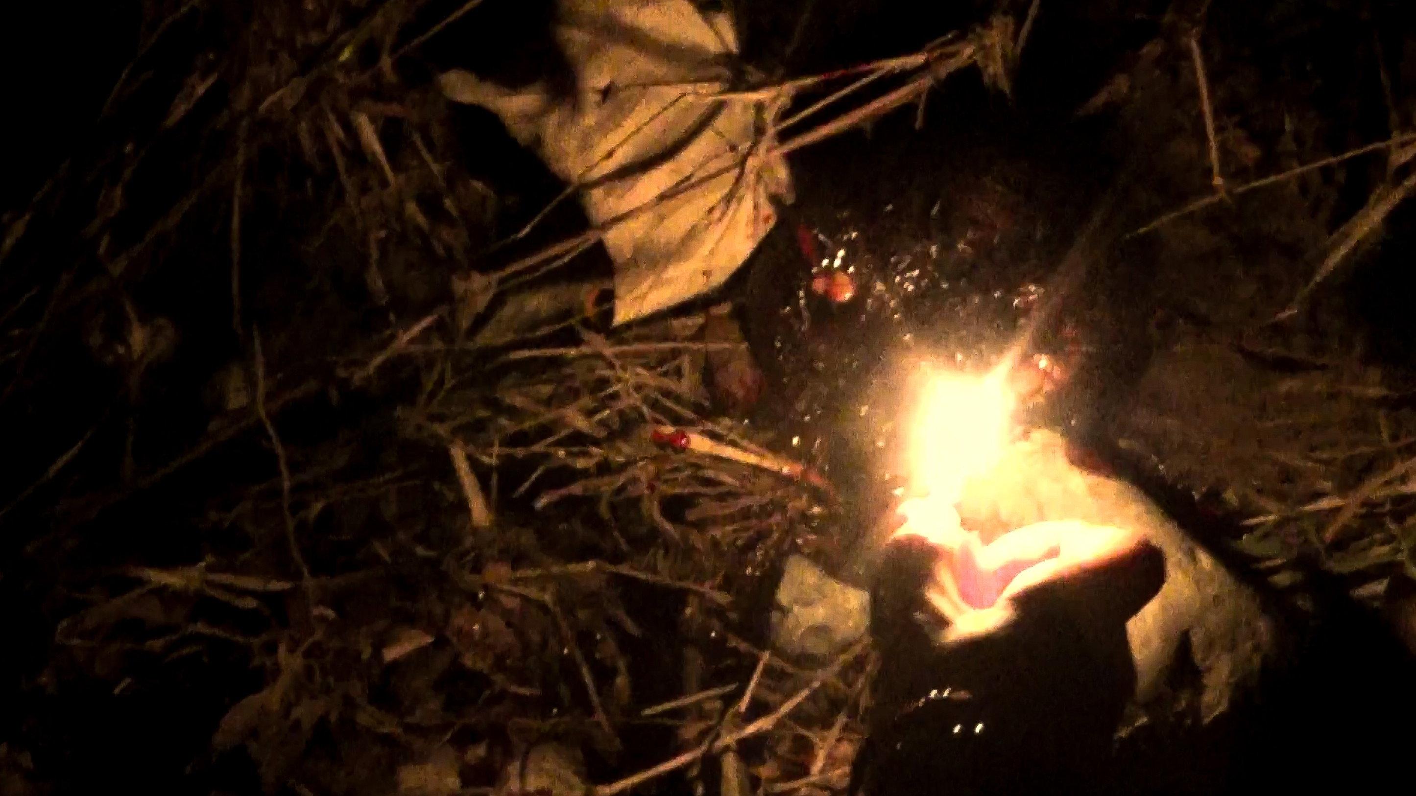 TERATOMA 2024 movie scene