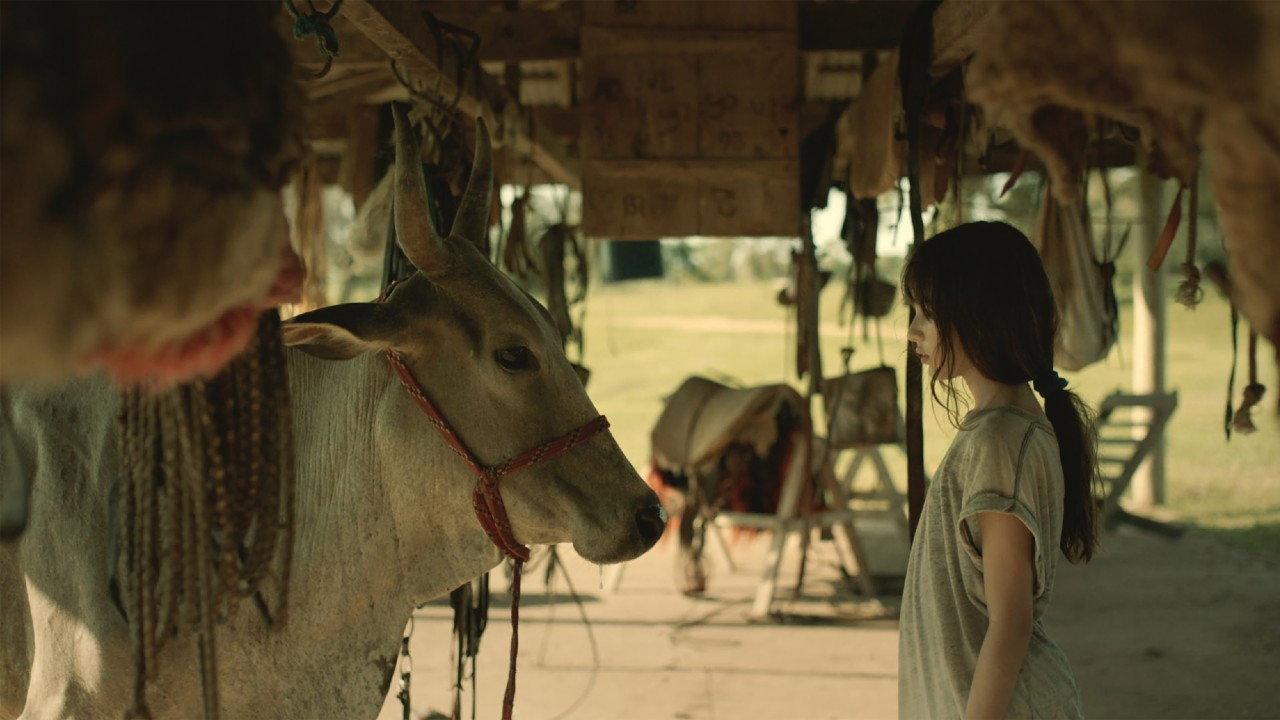 My Mother is a Cow 2025 movie scene