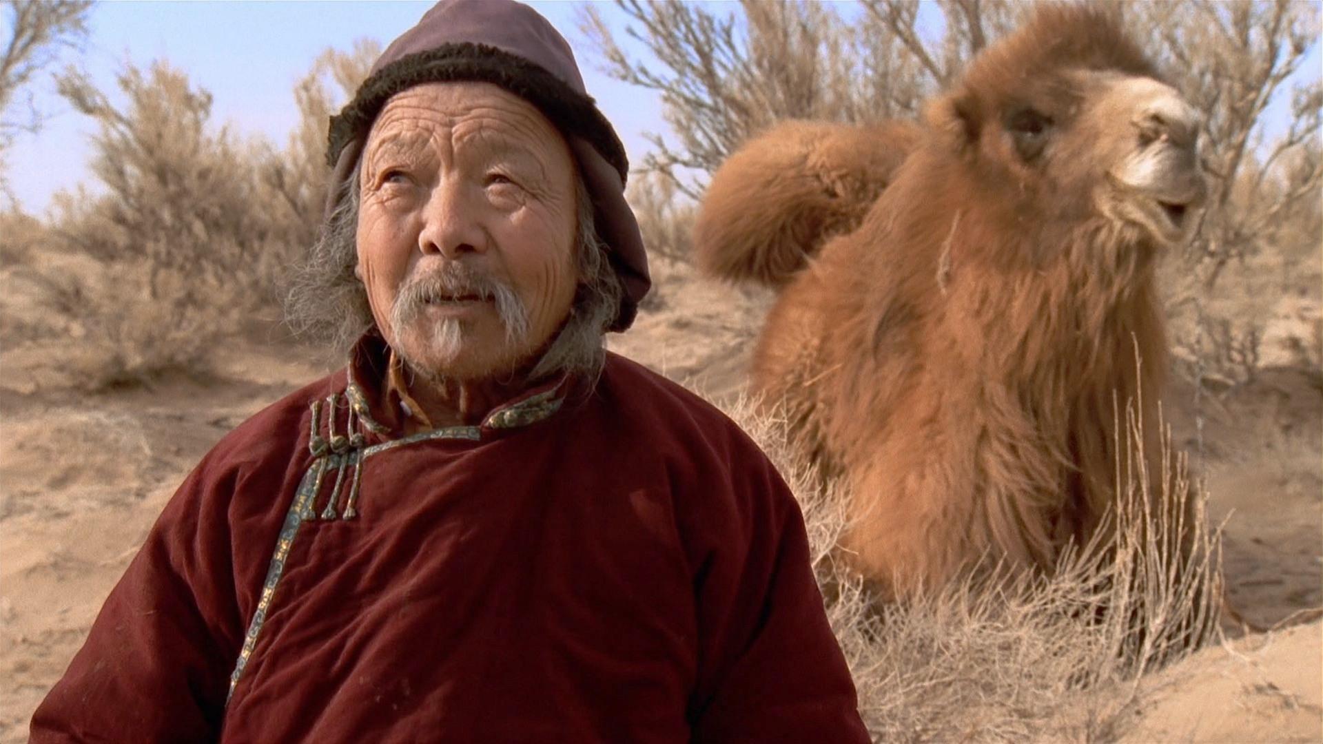 The Story of the Weeping Camel 2004 movie scene