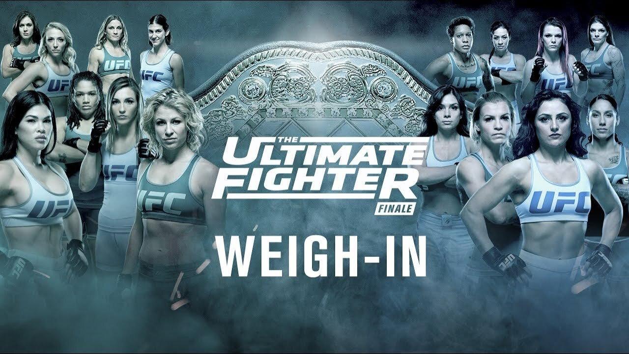 The Ultimate Fighter 26 Finale 2017 movie scene