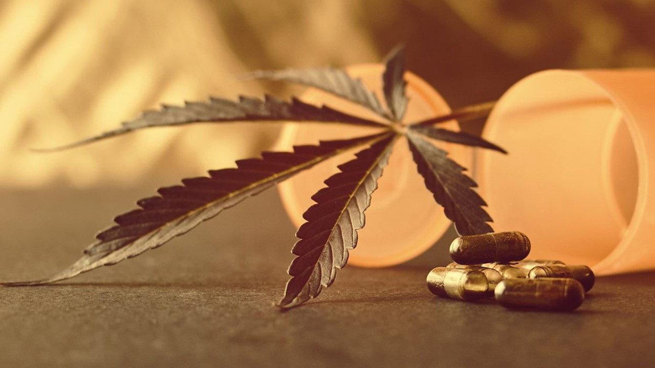 Cannabis: Prescription Pot Luck? 2023 movie scene