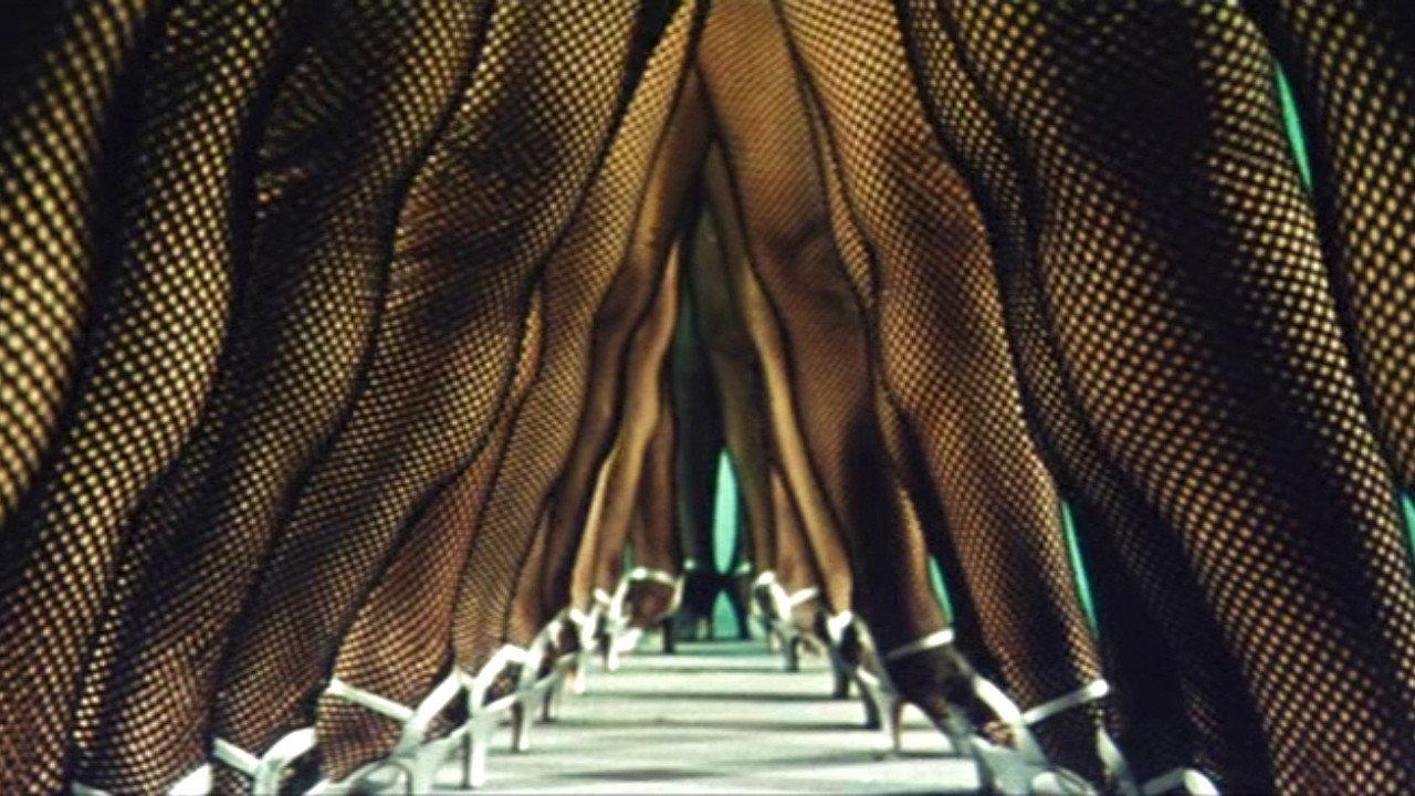 The Woman Who Touched Legs 1960 movie scene