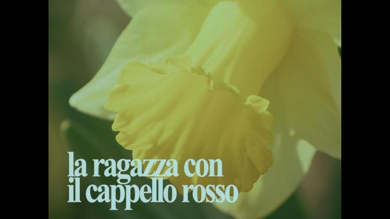 La Ragazza Con Il Cappello Rosso 2024 movie scene