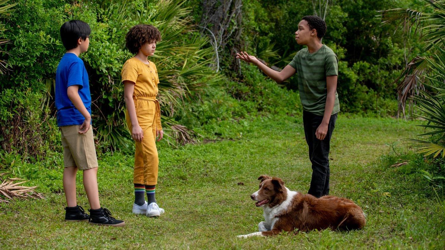 Pet Investigators 2025 movie scene