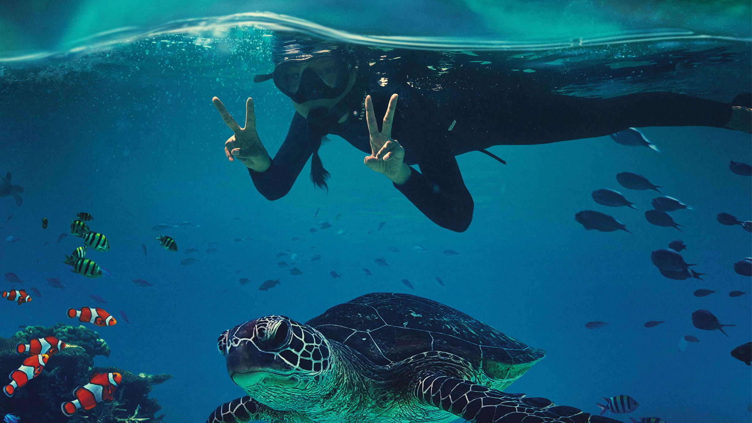 Beyond the Reef 2022 movie scene