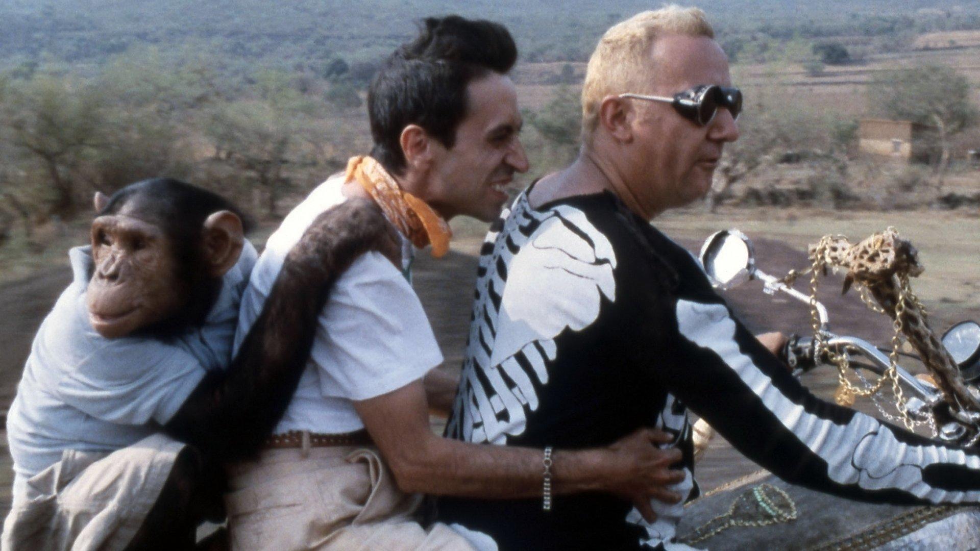The Vengeance of the Winged Serpent 1984 movie scene