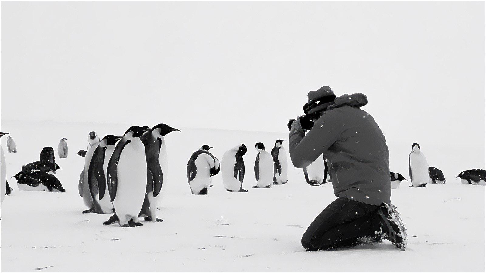 Antarctica Calling 2023 movie scene