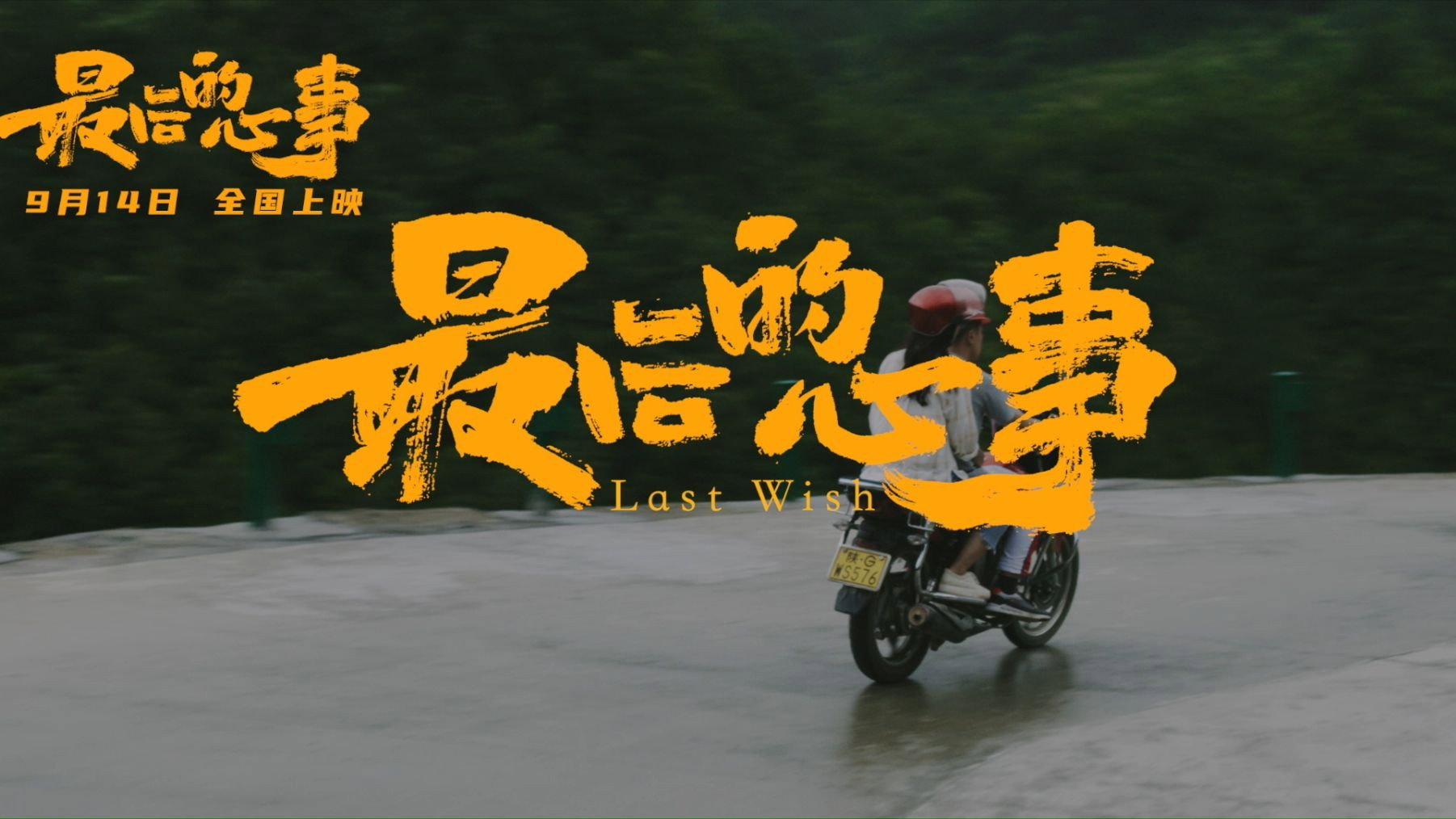 Last Wish 2024 movie scene