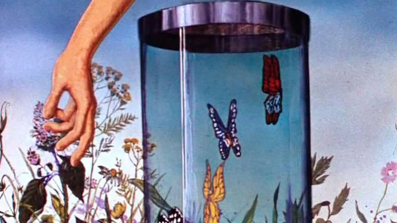 Butterfly 1972 movie scene