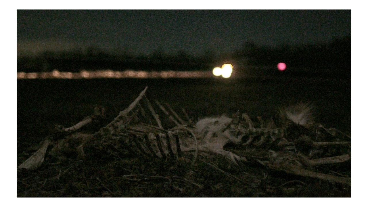 Roadkill 2025 movie scene