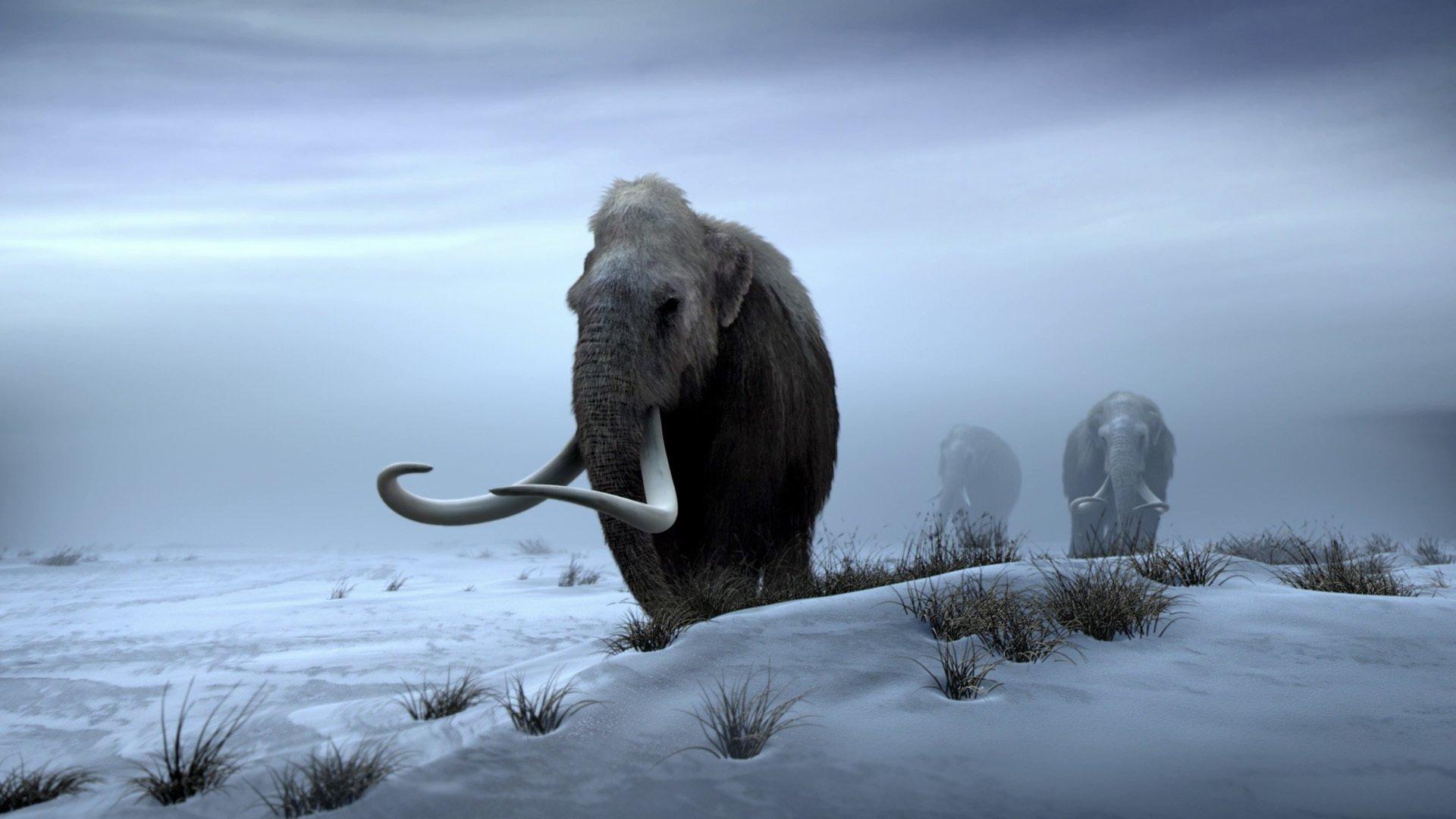 Titans of the Ice Age 2013 movie scene