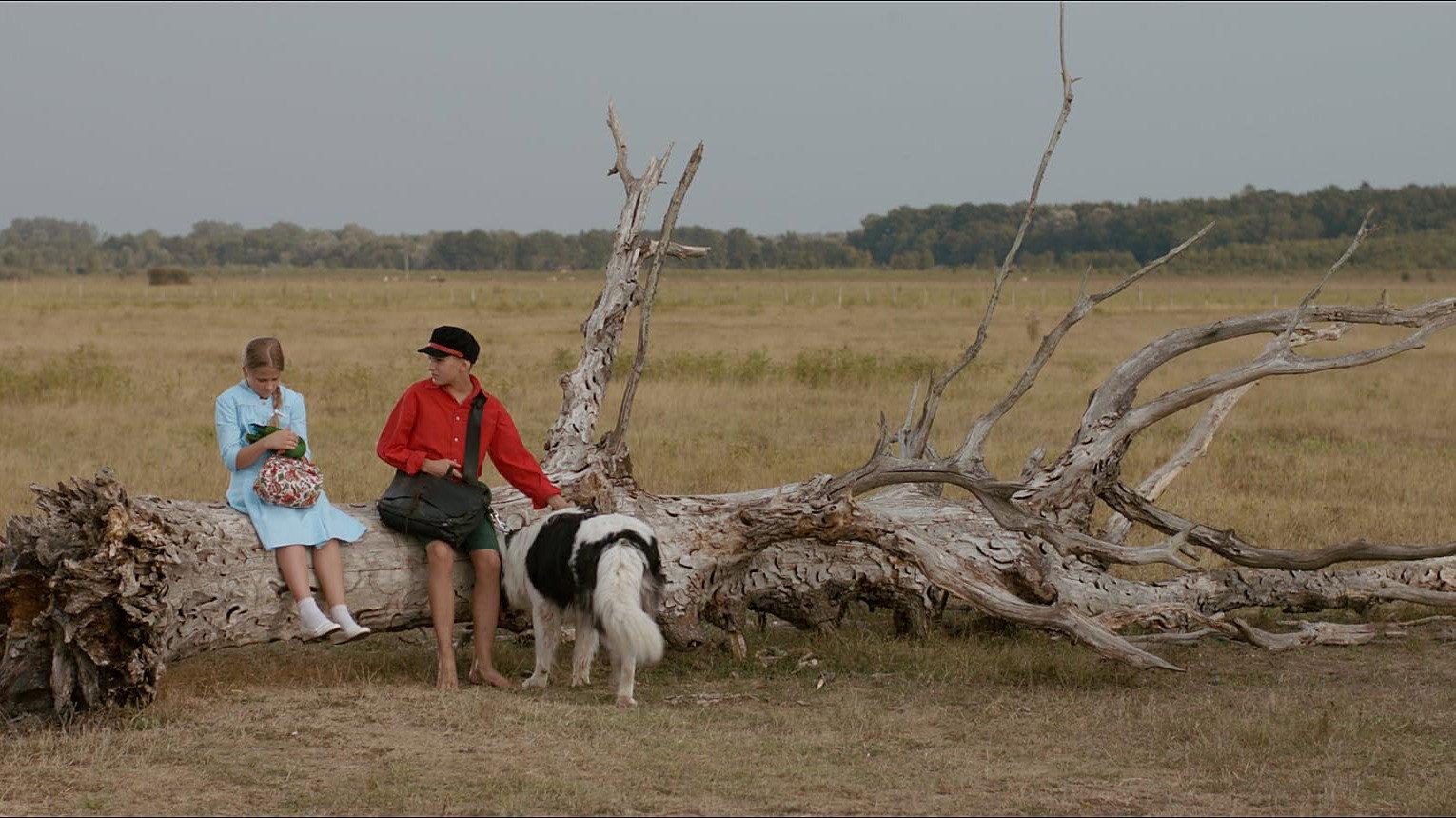 The Brave Adventures of a Little Shoemaker 2013 movie scene