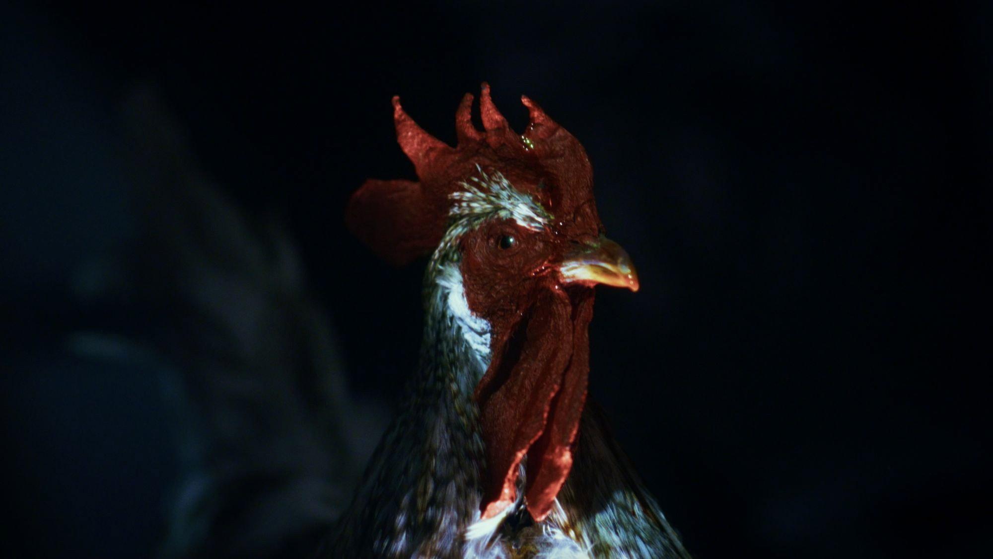 Rooster Road 2025 movie scene