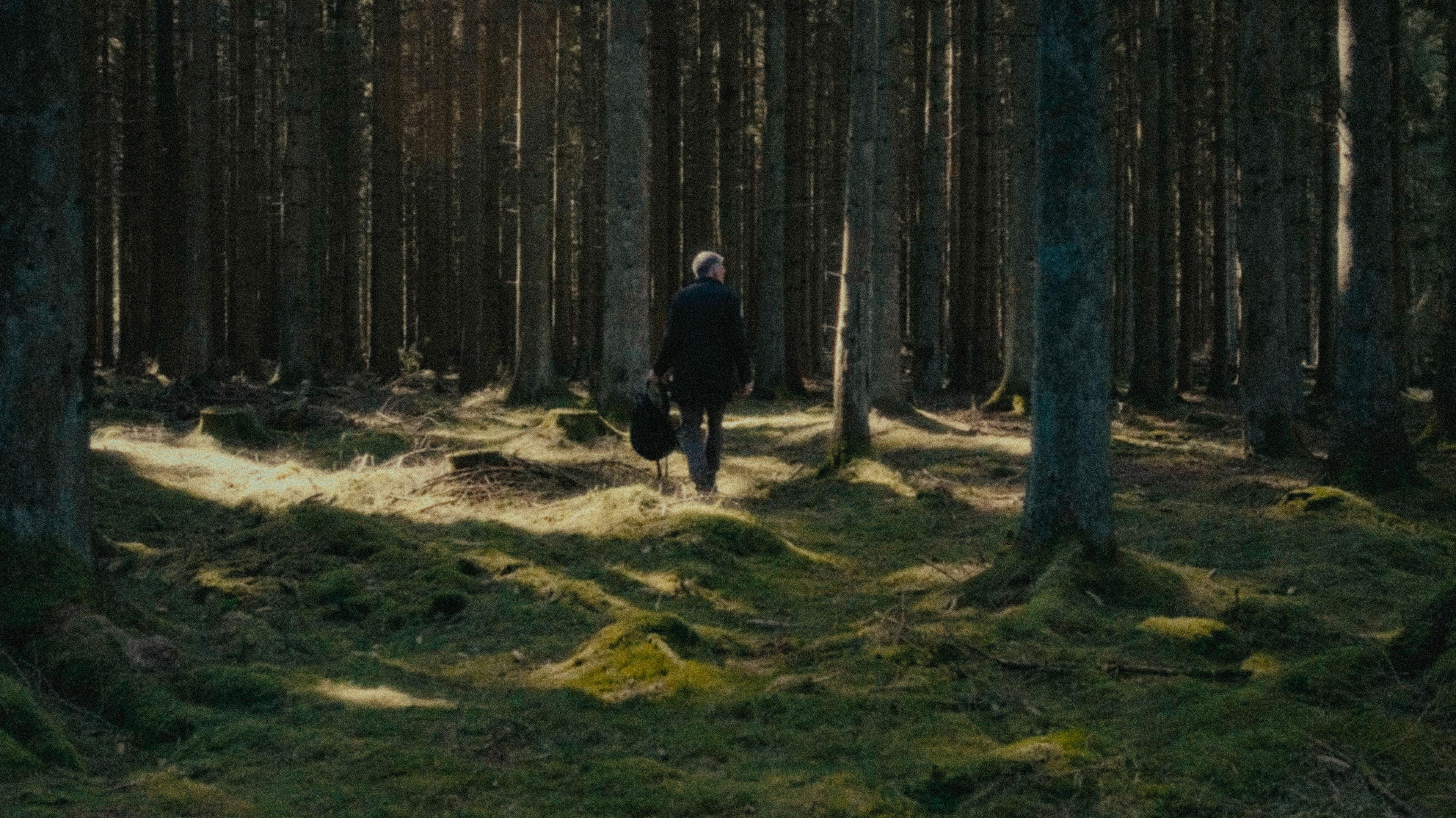 The Last Giants movie scene