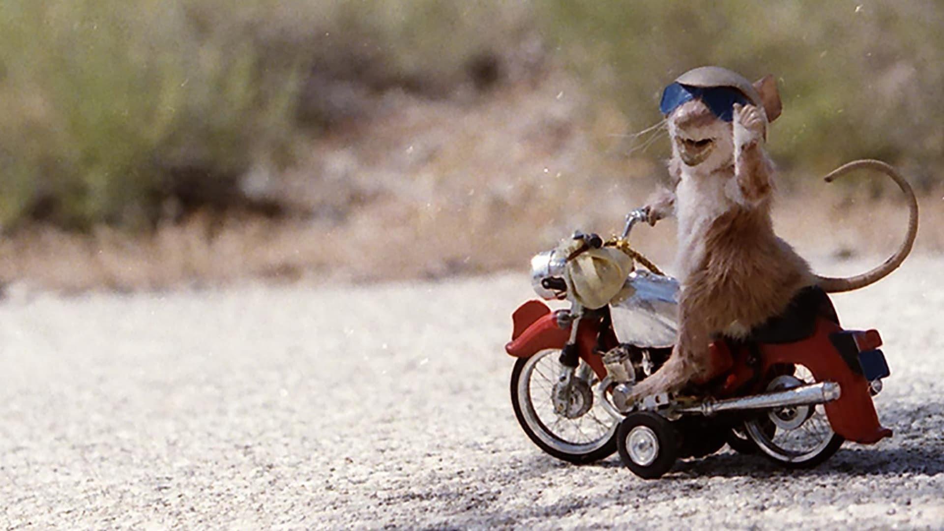 Runaway Ralph 1991 movie scene