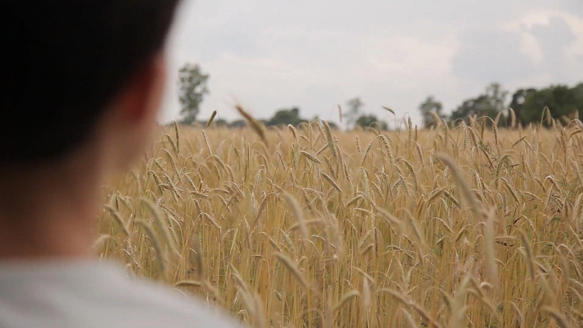 Seer 2016 movie scene
