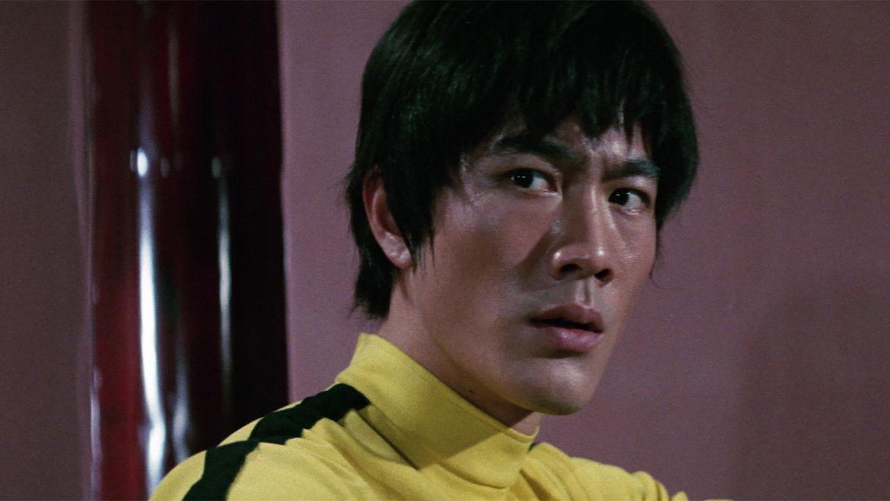Goodbye Bruce Lee: His Last Game of Death 1975 movie scene