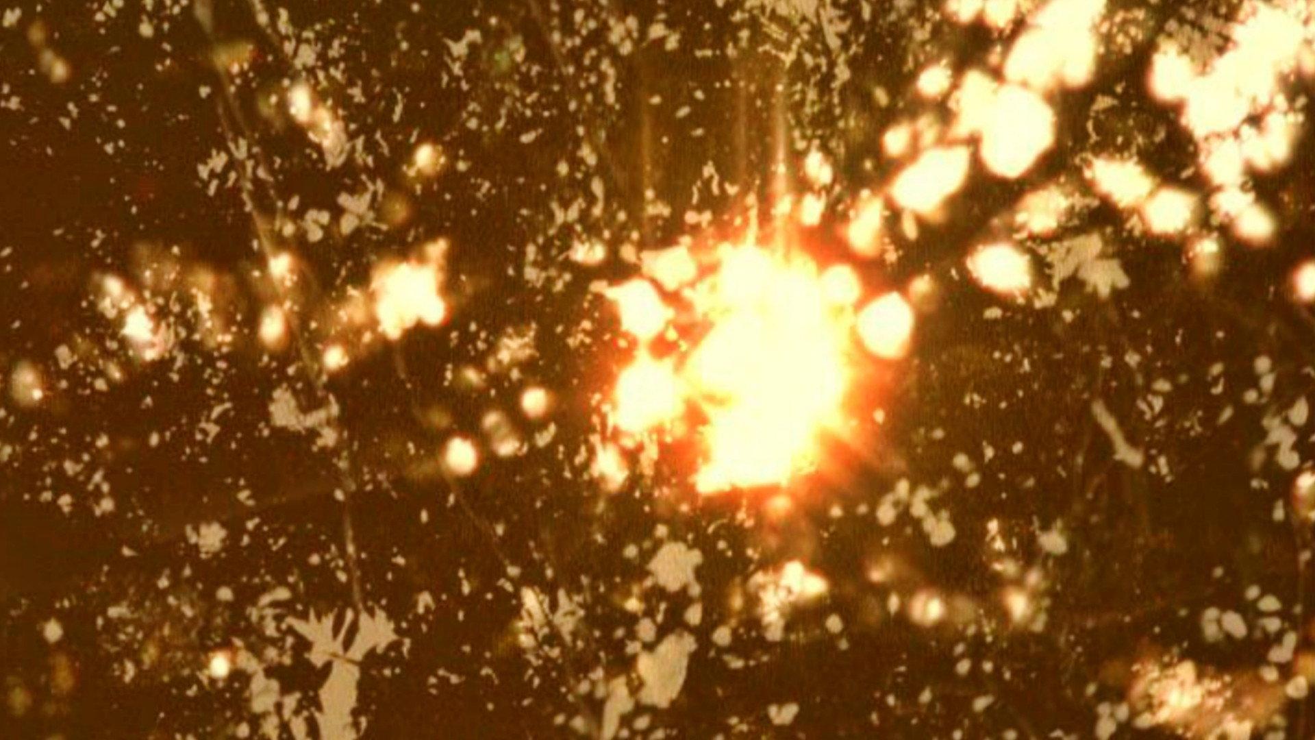Elements of Nothing 2007 movie scene