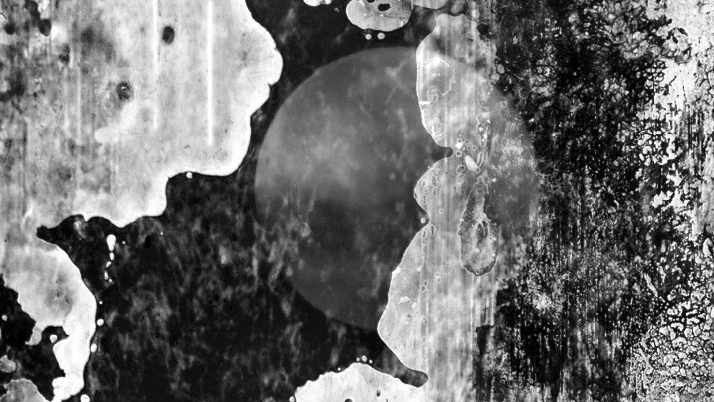 Mare Imbrium 2024 movie scene