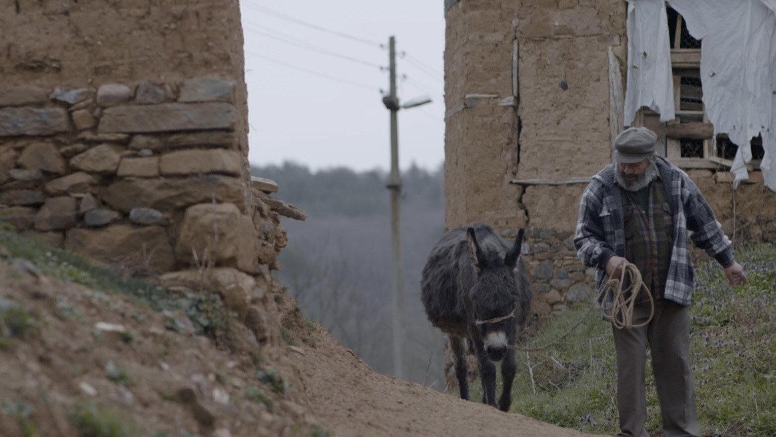 Donkey 2021 movie scene