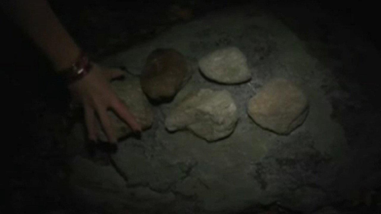 Under the Ravens Wing 2007 movie scene
