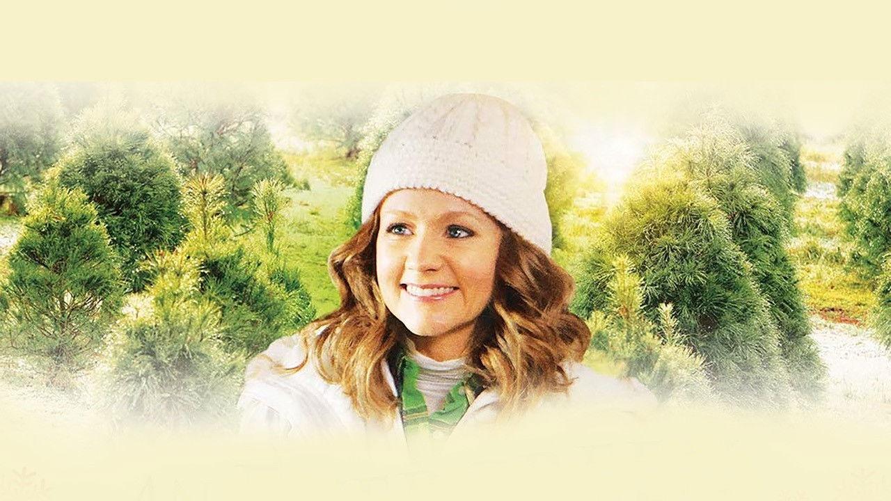 An Evergreen Christmas 2014 movie scene