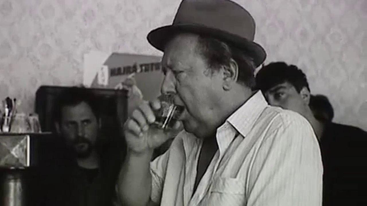 The Pregnant Papa 1989 movie scene