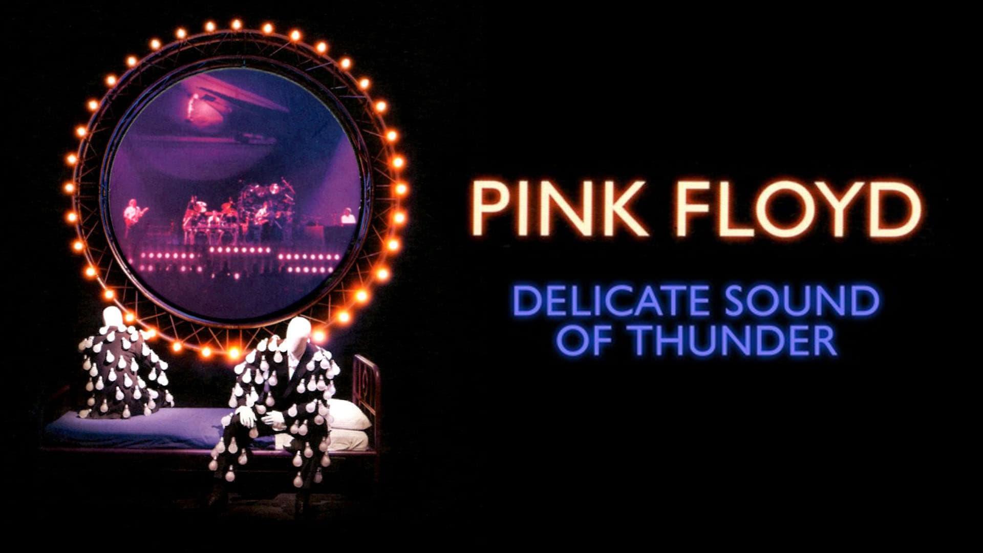 Pink Floyd: The Later Years, Vol 2 - Delicate Sound of Thunder 2019 movie scene