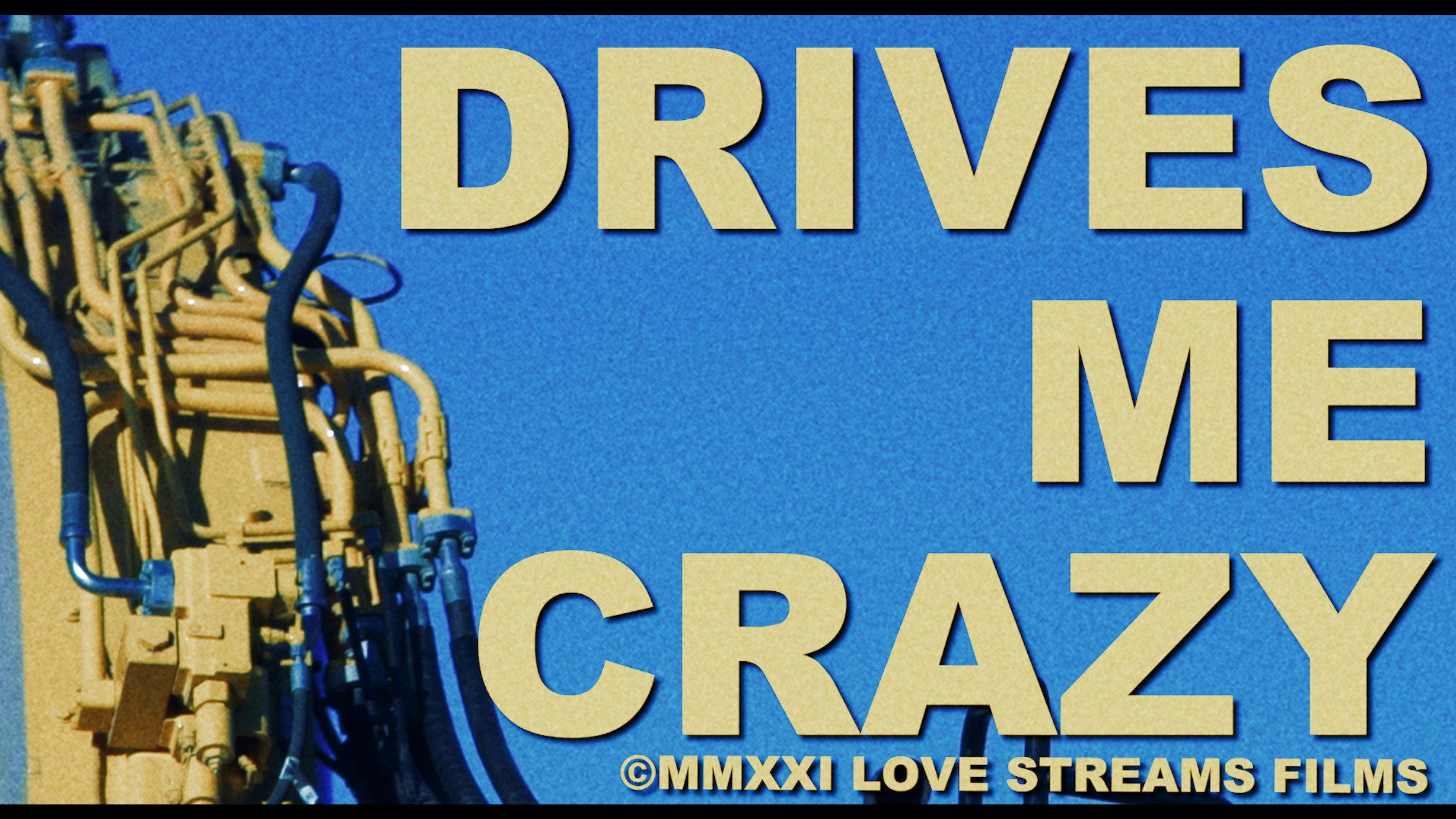 Drives Me Crazy 2022 movie scene