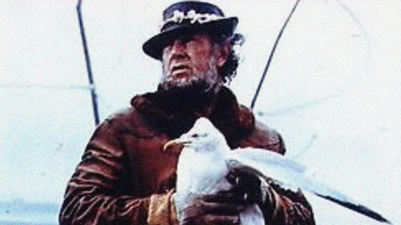 Sweet Hunters 1970 movie scene