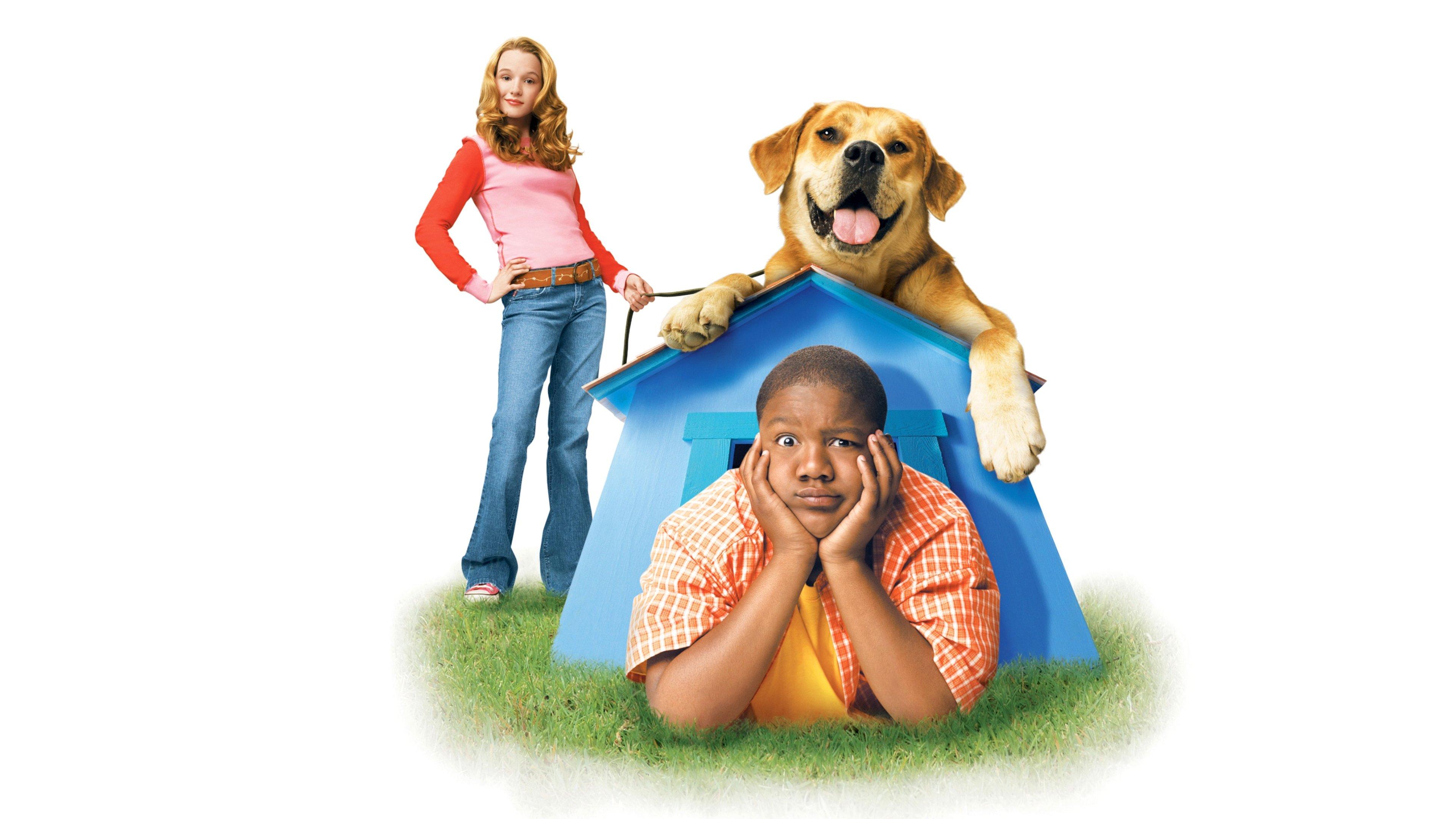 Life Is Ruff 2005 movie scene