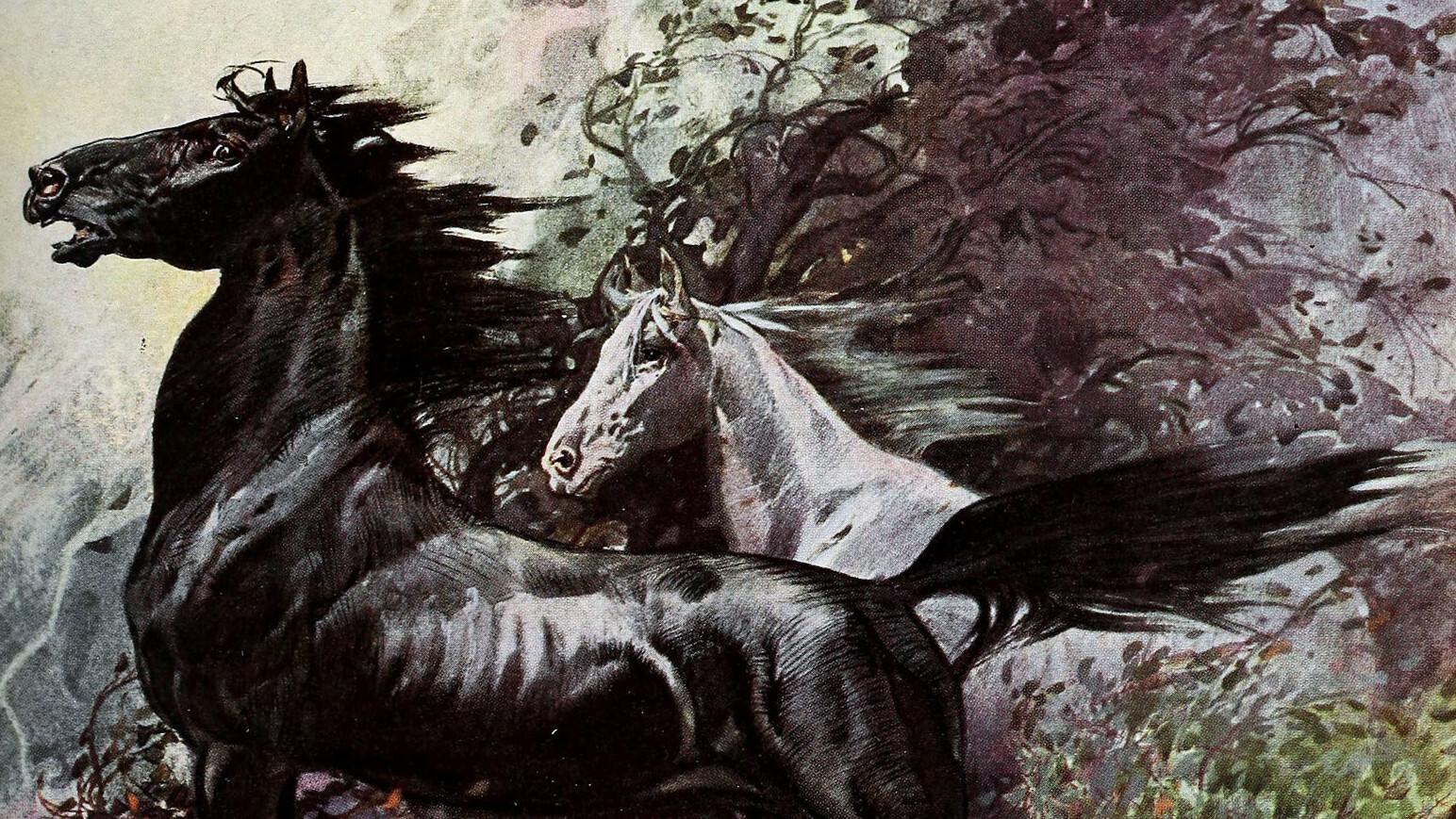 King of the Wild Horses 1933 movie scene