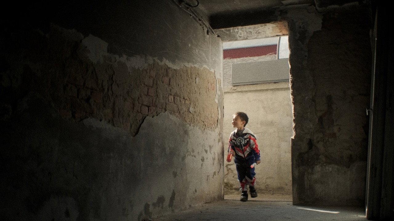 Cat Rong Po 2025 movie scene